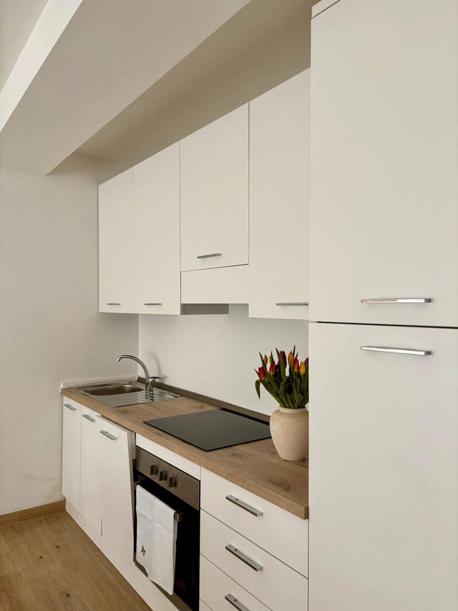 Tati&Ele Apartments Sedico Εξωτερικό φωτογραφία